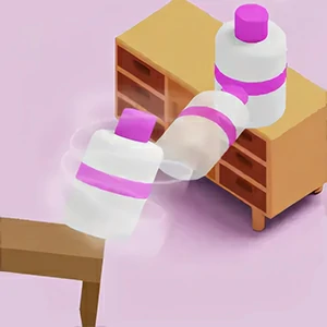 Bottle Flip